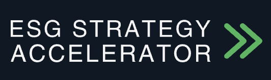 ESG Strategy Accelerator